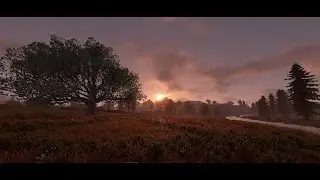 Tending to the farm.