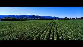 Isao Sasaki (이사오 사사키) - Framescape (2005 album): New Age Music, Relaxing Music