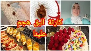 هجم علينا البق في فرنسا لا صافي😅حتى لدابا كملناها،مفاجئة عيد ميلاد ولدي وجدت كلشي في نهار#فرنسا