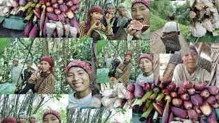 Collection bamboo shoots and banana flowers (organic) 