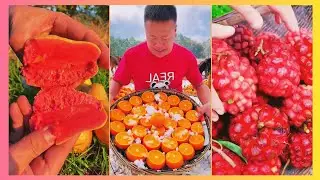Farm Fresh Ninja fruit cutting - Eating fruit in the garden | Oddly satisfying | Blox Fruits #001