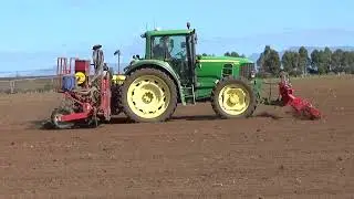 Maitland Red Onion Drilling Part 1