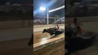 Buffalo race in Karnataka | Incredible India | Traditional | Coastal Karnataka Festival | Vlog, Trip
