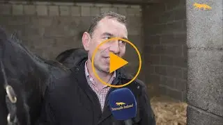 Cathal Ennis (Quill Farm) - November National NH Sale 2025