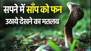 Sapne me saap ko fun uthaye hue dekhna | seeing snake head in dream | Saap ka fun dekhna