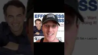 Effortless Success by Michael Neill