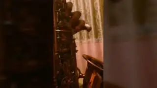 Old french song-TCHAIKOVSKY.(Alto sax)