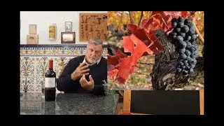 158 - 24 noviembre día de la carménère, la uva franco chilena. ¿Conoces sus vinos?