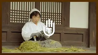 [Short clip of Hansanmosi] Ramie peeling #ASMR #Satisfying