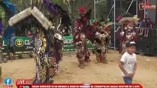 TRIXITA TV EN VIVO