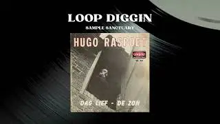 Hugo Raspoet - De Zon (Samples : Violin, Voice, Guitar, Piano)