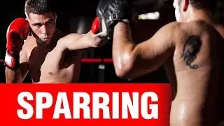 The Importance of Sparring | ART OF ONE DOJO