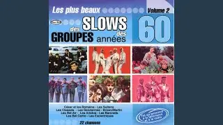 Cette chanson elle est pour toi