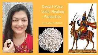 Desert Rose Vedic Healing Properties( Spirit Guardian,blooming in arid conditions,reprogramming)
