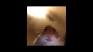 PS1 Fortnite With KillzzDoesStuff