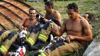 The 2018 Australian Firefighters Calendar featuring rescue puppies