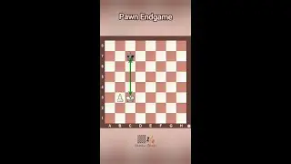 Pawn Endgame - Opposition #benkochess