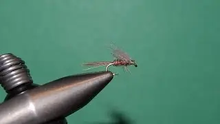Tying the Blue-Winged Olive LTD