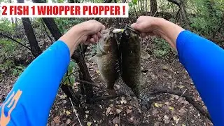 Whopper Plopper Creek Bass Fishing - How To Catch Smallmouth Bass