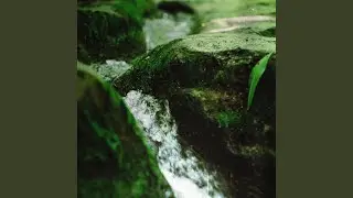 The Watercourse (Solo Version)
