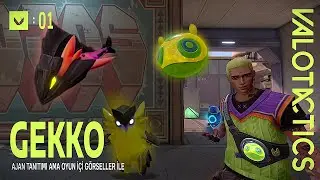 GEKKO AJAN TANITIMI | OYUN İ&Ccedil;İ G&Ouml;R&Uuml;NT&Uuml;LERLE 💚