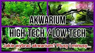 Wysoka Technologia czy Niska - Jakie akwarium Wybrać?  |  High-Tech i Low-Tech Plusy i Minusy.