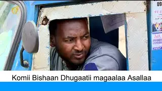 Komii Bishaan Dhugaatii magaalaa Asallaa