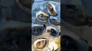 DO YOU KNOW OYSTERS ARE A APHRODISIAC #foodies #food #goodfood #cooking