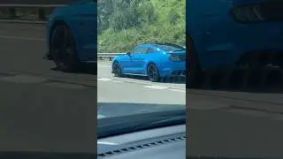 THIS BLUE ON THIS MUSTANG IS ACTUALLY 🔥 #fypシ #car #viral #ford #spotted #blue #mustang
