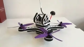 Kiss FC --- Ragg-e WBX5 --- F40-2500kv -- Maiden - RAW