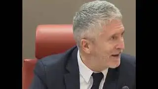 Marlaska anuncia un periodo de gracia sin multas por la baliza