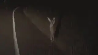 Жесткая разборка на трассе! Смотреть всем!!!
