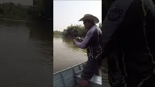 Pescaria boa, Peixe lindo mas o Ja&oacute; cantando &eacute; maravilhoso!!