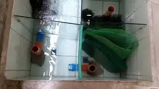 EASY FISH TANK FILTER CLEANING