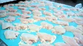 FreezeCAT Impingement Freezer