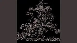 Andra Sidan