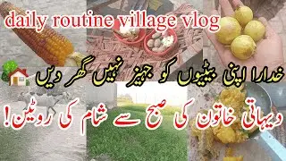 Desi family life in Pakistan|village women in Pakistan winter routine|peaceful morning in village