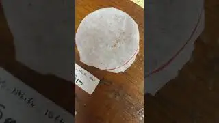 Microplastics in the North Pacific