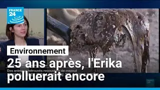 25 ans après, l'Erika polluerait encore • FRANCE 24