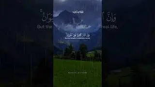 Rain☺️🌧️ x thunder⛈️ x nature🍀x Qur'an verses🎧=perfect Sukoon🕊️&hearts;️#quranrecitation #quranverses #rain