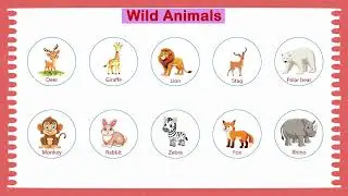 Wild Animals for Kids 🐯 | GK Awareness with Pictures | Learn Animal Names