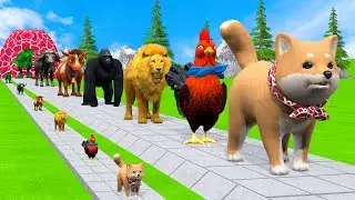 Long Slide Game With Cow Elephant Gorilla Hippopotamus Tiger 3d Animal Game Funny 3d Animals