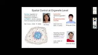 Jin Zhang - Illuminating Biochemical Activity Architecture of the Cell - Imaging ONEWORLD