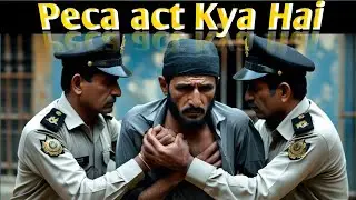 What is the Pica Act | Peca act 2025