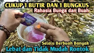 Sampai Merinding Lihat Hasilnya Tanaman Kecil Berbuah Lebat Apalagi Tanaman Besar !!