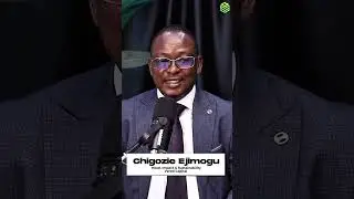 From Consulting to Private Equity: Chigozie Ejimogu&rsquo;s Sustainability Journey