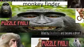 party finder in a nutshell