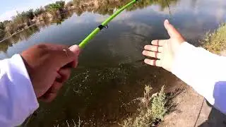 Fortuna Pond
