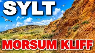 Sylt: Morsum Kliff Nationales Geotop ☀️❤️ Impressionen Sommer 2025 [4K UHD]