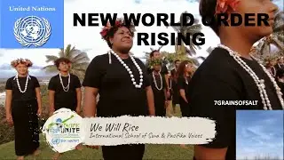 New World Order rising  7grainsofsalt3